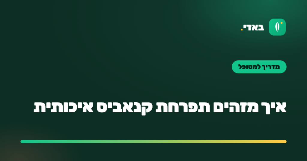 איך מזהים תפרחת קנאביס איכותית