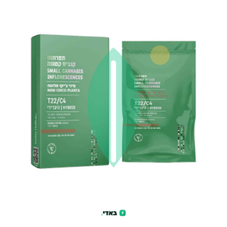פלנטה צ'יקו מיני (Planta Chico Mini) – היבריד T22/C4