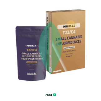 אר.אס.סי מיני (R.S.C Mini) – אינדיקה T22/C4