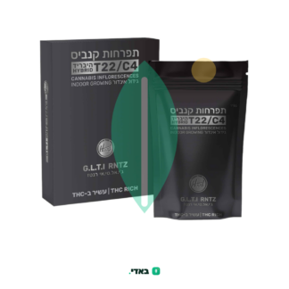 ג.ל.ט.י רנטז (G.L.T.I RNTZ) – היבריד T22/C4