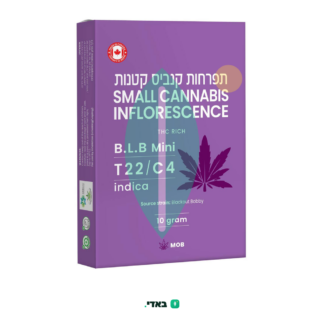 בי אל בי מיני (B.L.B Mini) – אינדיקה T22/C4