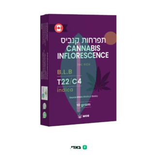 בי אל בי (B.L.B) – אינדיקה T22/C4