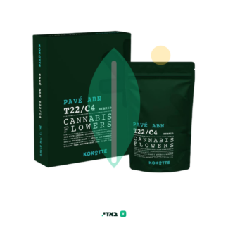 פאבה איי.בי.אן (Pavé ABN) – היבריד T22/C4