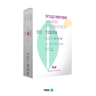 אר.זד 13 (R.Z13) – אינדיקה T22/C4