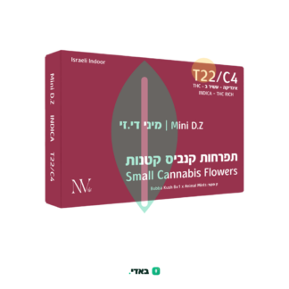 די.זי מיני (D.Z Mini) – אינדיקה T22/C4