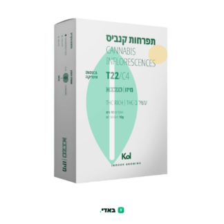 מיזו (Mizo) – אינדיקה T22/C4