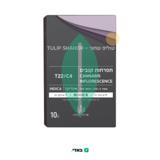 טוליפ שחור (Tulip Shahor) – אינדיקה T22/C4
