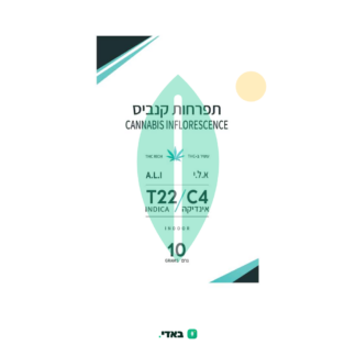 א.ל.י (A.L.I) – אינדיקה T22/C4