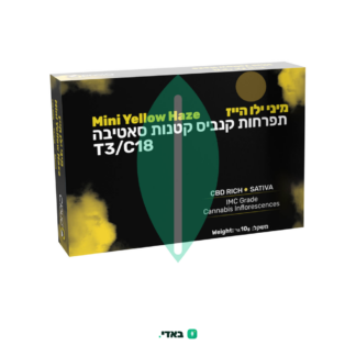 ילו הייז מיני (Yellow Haze Mini) – סאטיבה T3/C18