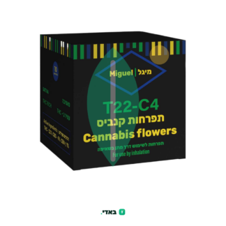 מיגל (Miguel) – סאטיבה T22/C4