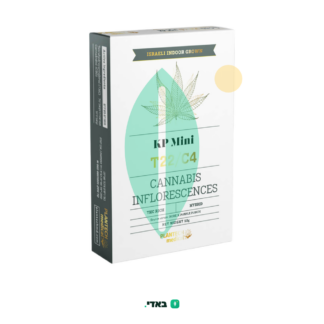 קיי פי מיני (KP Mini) – היבריד T22/C4