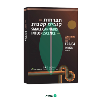 קונגו מיני (Congo Mini) – אינדיקה T22/C4