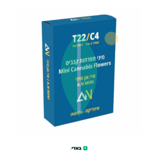 איי.אן מיני (A.N Mini) – אינדיקה T22/C4