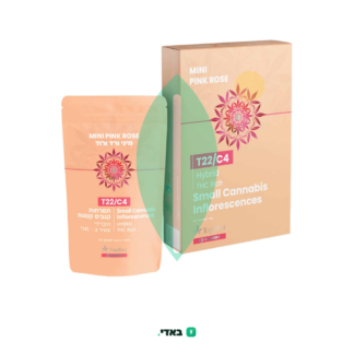 פינק רוז מיני (Pink Rose Mini) – היבריד T22/C4