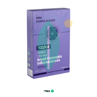 פרפל קלובר מיני (Purple Clover Mini) – אינדיקה T22/C4