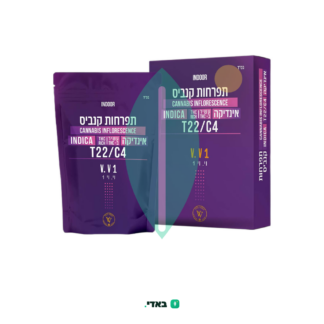 וי. וי 1 (V. V 1) – אינדיקה T22/C4