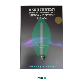 אורורה (Aurora) – אינדיקה T22/C4