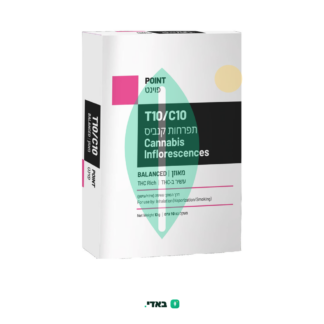 פוינט (Point) – היבריד T10/C10