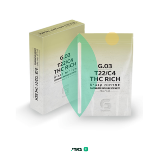 ג'י.03 (G.03) – אינדיקה T22/C4
