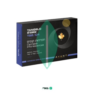 טאנג'לו (Tangelo) – סאטיבה T22/C4