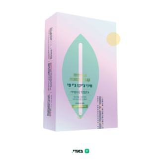 ג'י פי צ'יקו מיני (GP Chico Mini) – היבריד T22/C4