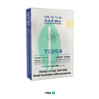 או ג'י קיי מיני (O.G.K Mini) – היבריד T22/C4