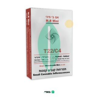 אם בי מיני (M.B Mini) – היבריד T22/C4