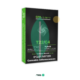 ג'י אף בי (GFB) – היבריד T22/C4