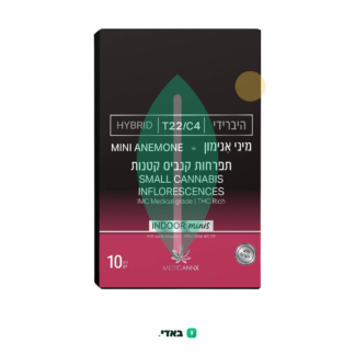אנימון מיני (Anemone Mini) – היבריד T22/C4
