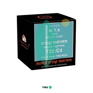 אם טי קיי מיני (MTK Mini) – אינדיקה T22/C4