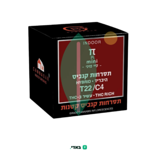 פיי מיני (Pi Mini) – היבריד T22/C4