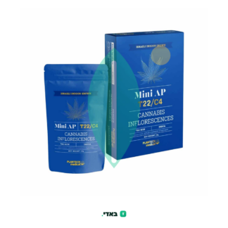 איי פי מיני (AP Mini) – אינדיקה T22/C4