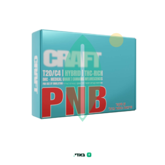 פי.אן.בי (PNB) – היבריד T20/C4