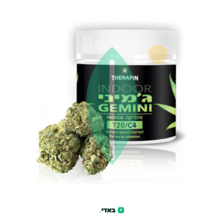 ג'מיני (Gemini) – אינדיקה T20/C4