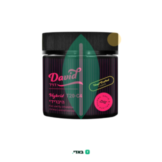 דויד (David) – היבריד T20/C4