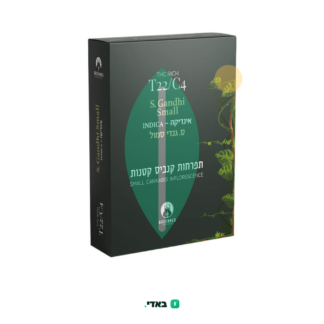 ס. גנדי סמול (S. Gandhi Small) – אינדיקה T22/C4