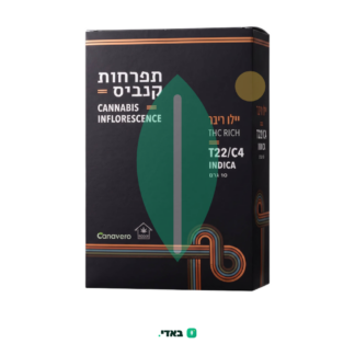יילו ריבר (Yellow River) – אינדיקה T22/C4
