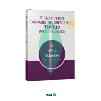 ק.ג'קי (Q.Jackie) – היבריד – T10/C10
