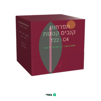 ג'י אס פי.ג'י מיני (GSP.G Mini) – היבריד T22/C4